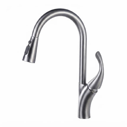 Brass kitchen faucet